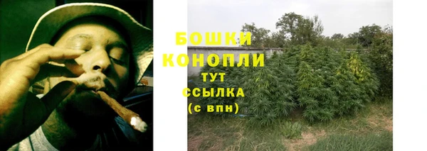 ГАЛЛЮЦИНОГЕННЫЕ ГРИБЫ Балахна