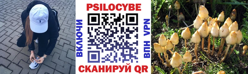 Псилоцибиновые грибы ЛСД  omg ссылки  Тверь 